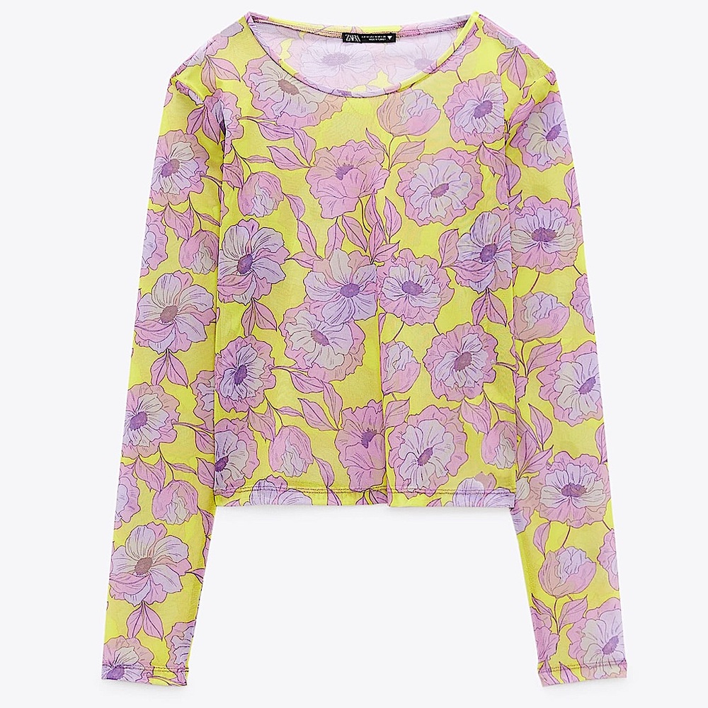 Zara Sheer Floral Tee Shirt
